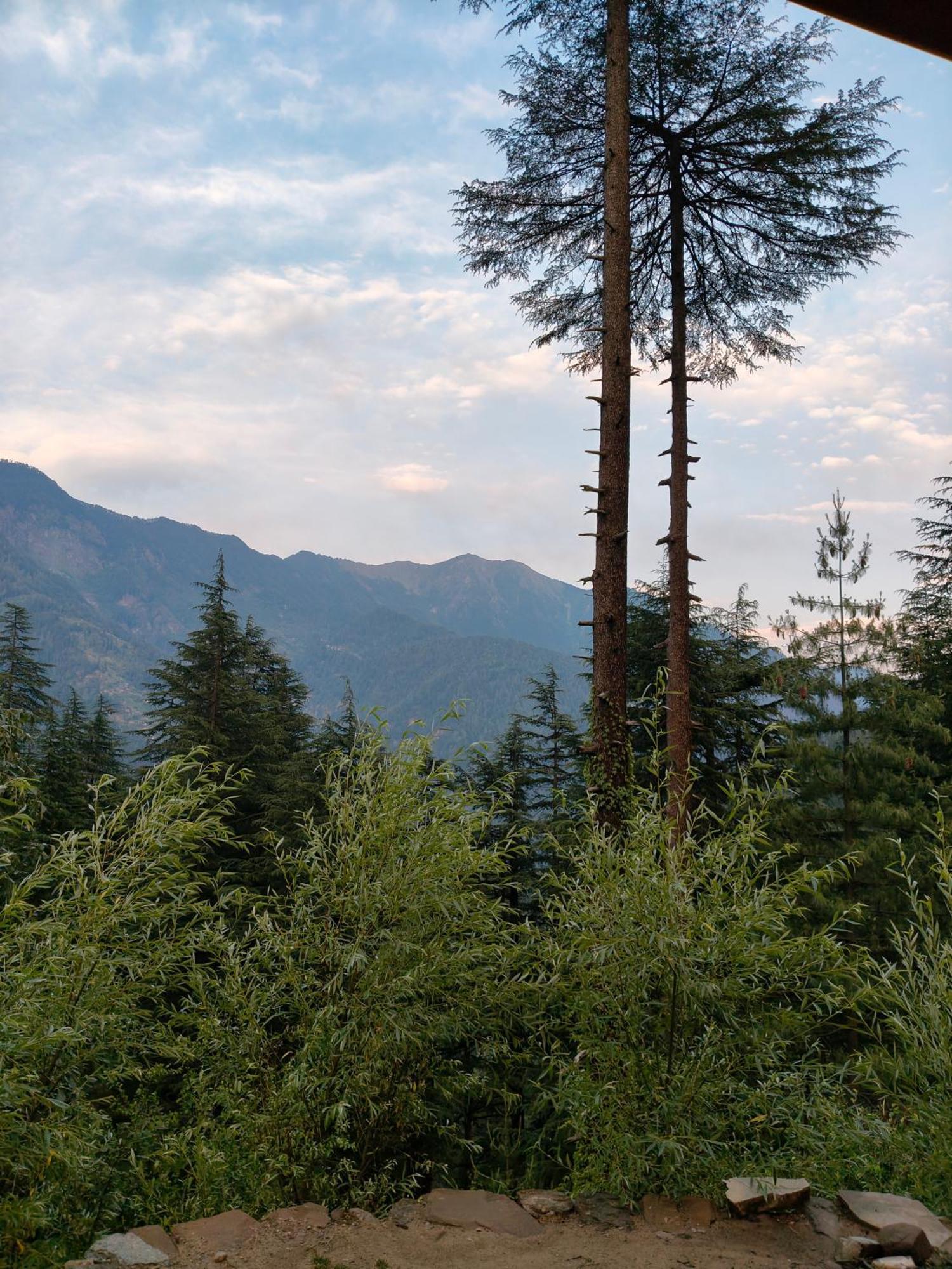 Forest View Cottage Jibhi Екстер'єр фото